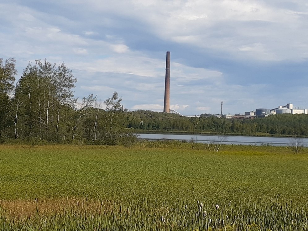 A tall smoke stack visible over a wetland and a pond.