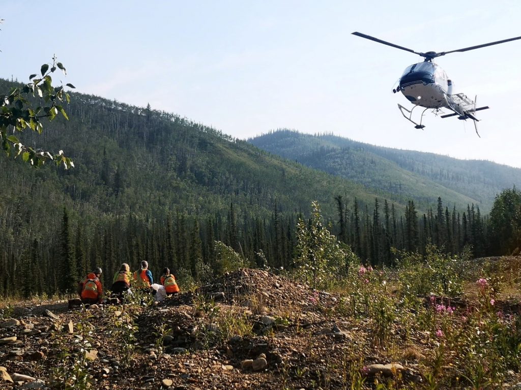 Four people wearing hi-vis vests crouched on the ground in a clearing  being approached by a helicopter coming in to land