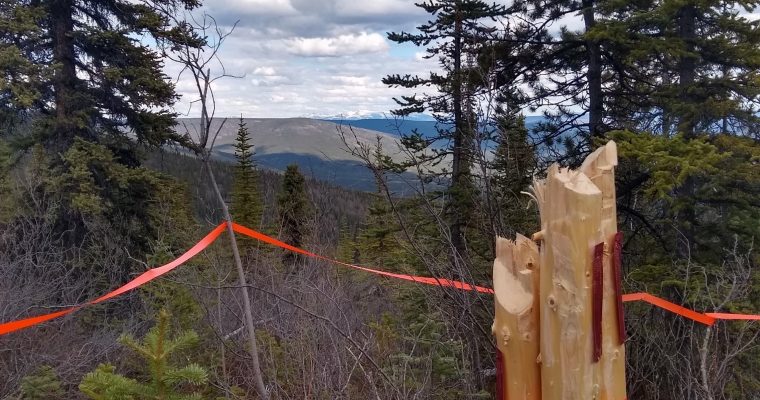 Daniel Chodur – Soil Sampler/Mineral Exploration Technician