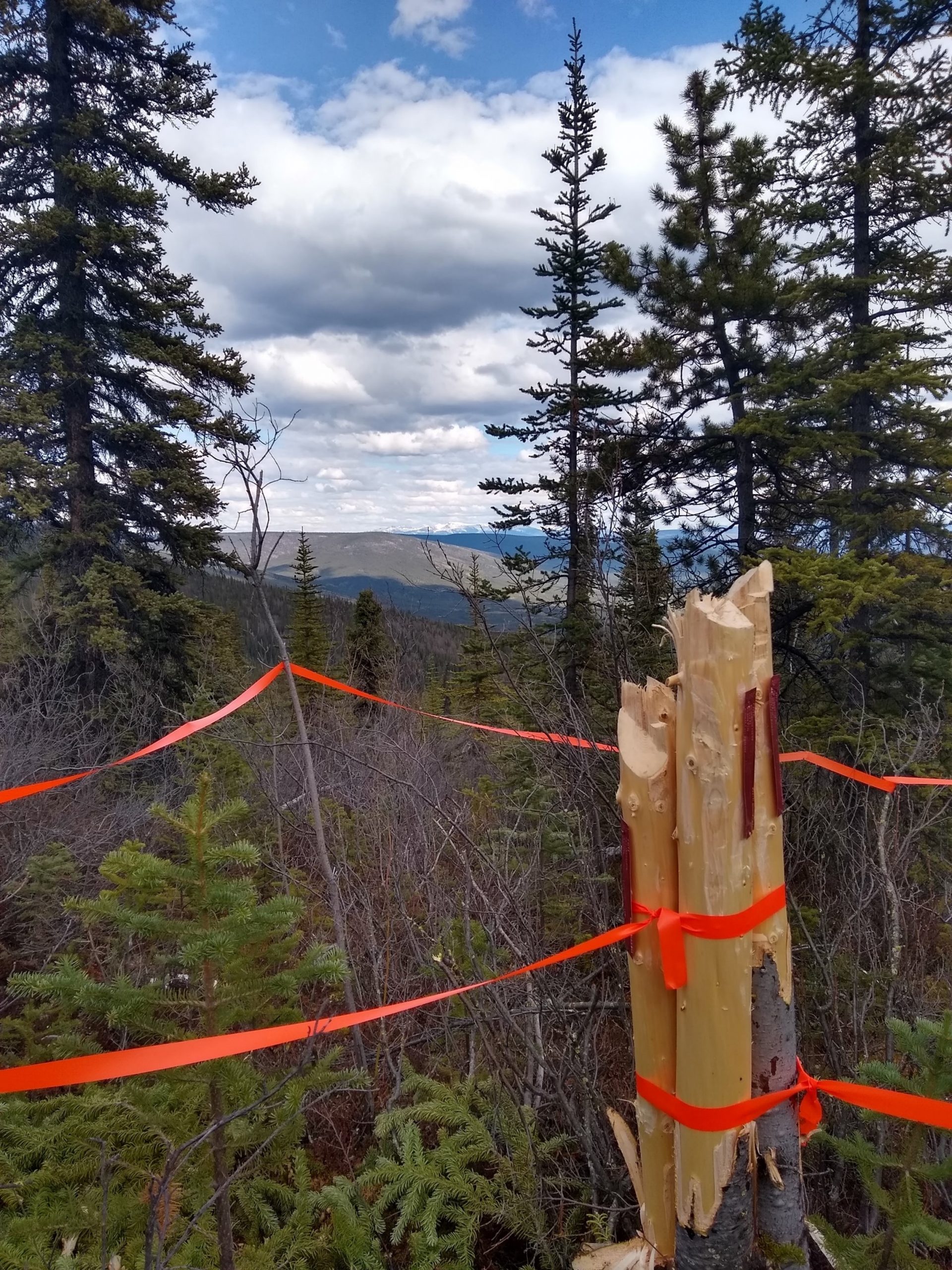 Daniel Chodur – Soil Sampler/Mineral Exploration Technician