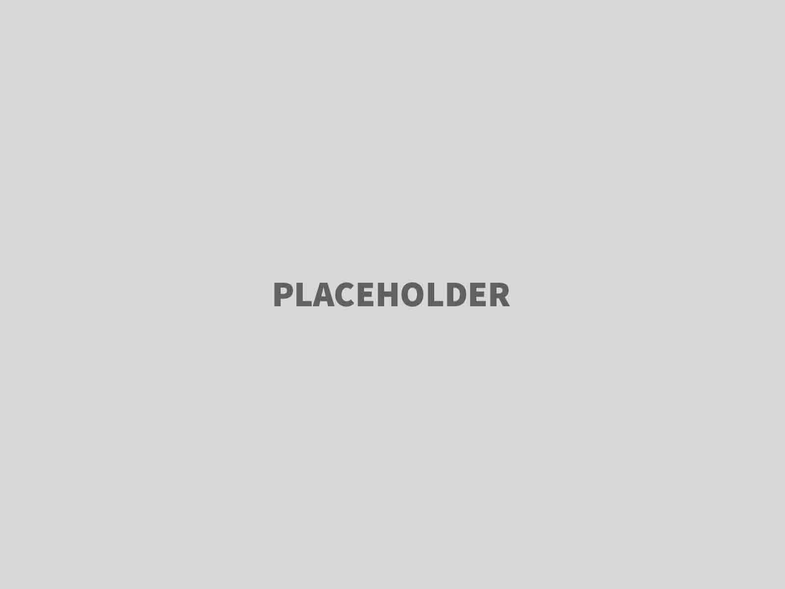 Professional Portfolio Introduction